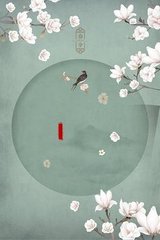 思思岳母秦菲雪